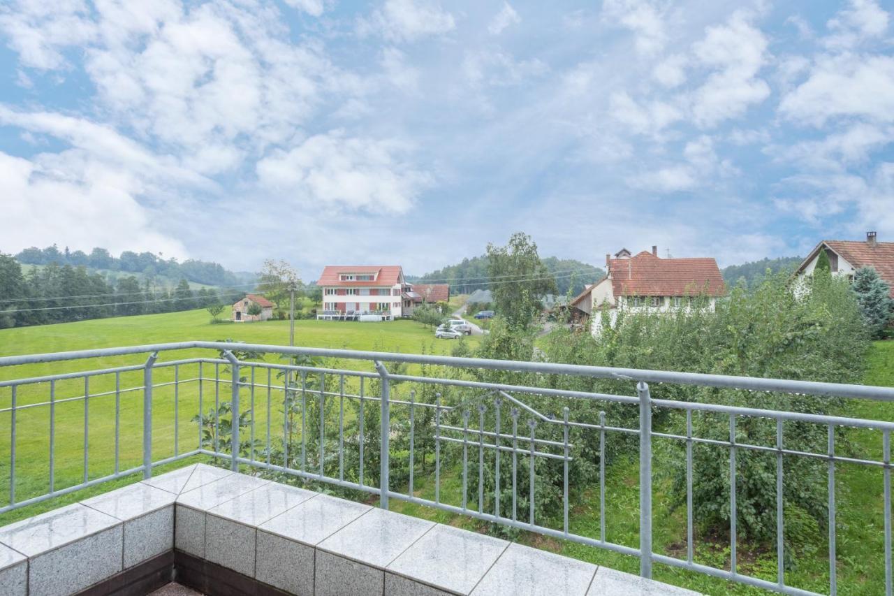 Ferienwohnung Schleinseeblick クレスブロン・アム・ボーデンゼー エクステリア 写真